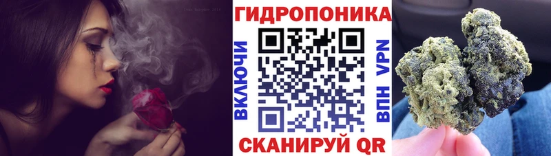 Конопля Северск