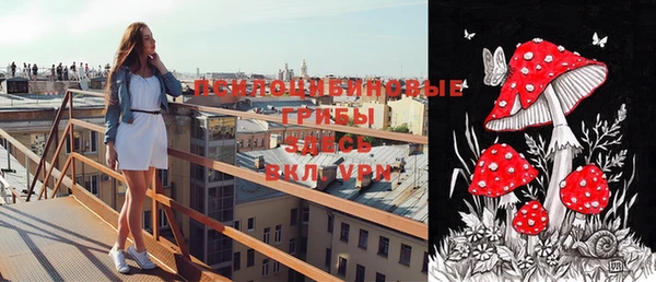 первитин Богданович