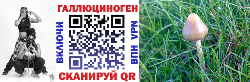нарко площадка формула  Северск  Галлюциногенные грибы GOLDEN TEACHER 