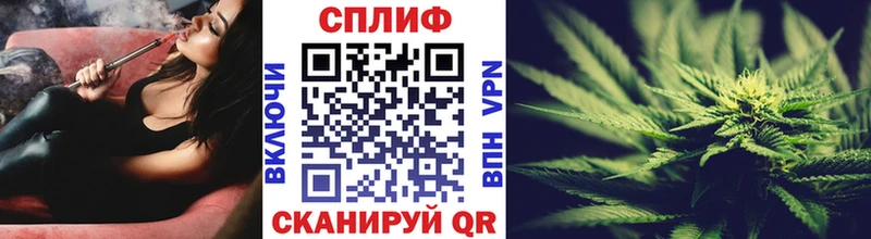 купить   Северск  Марихуана Amnesia 